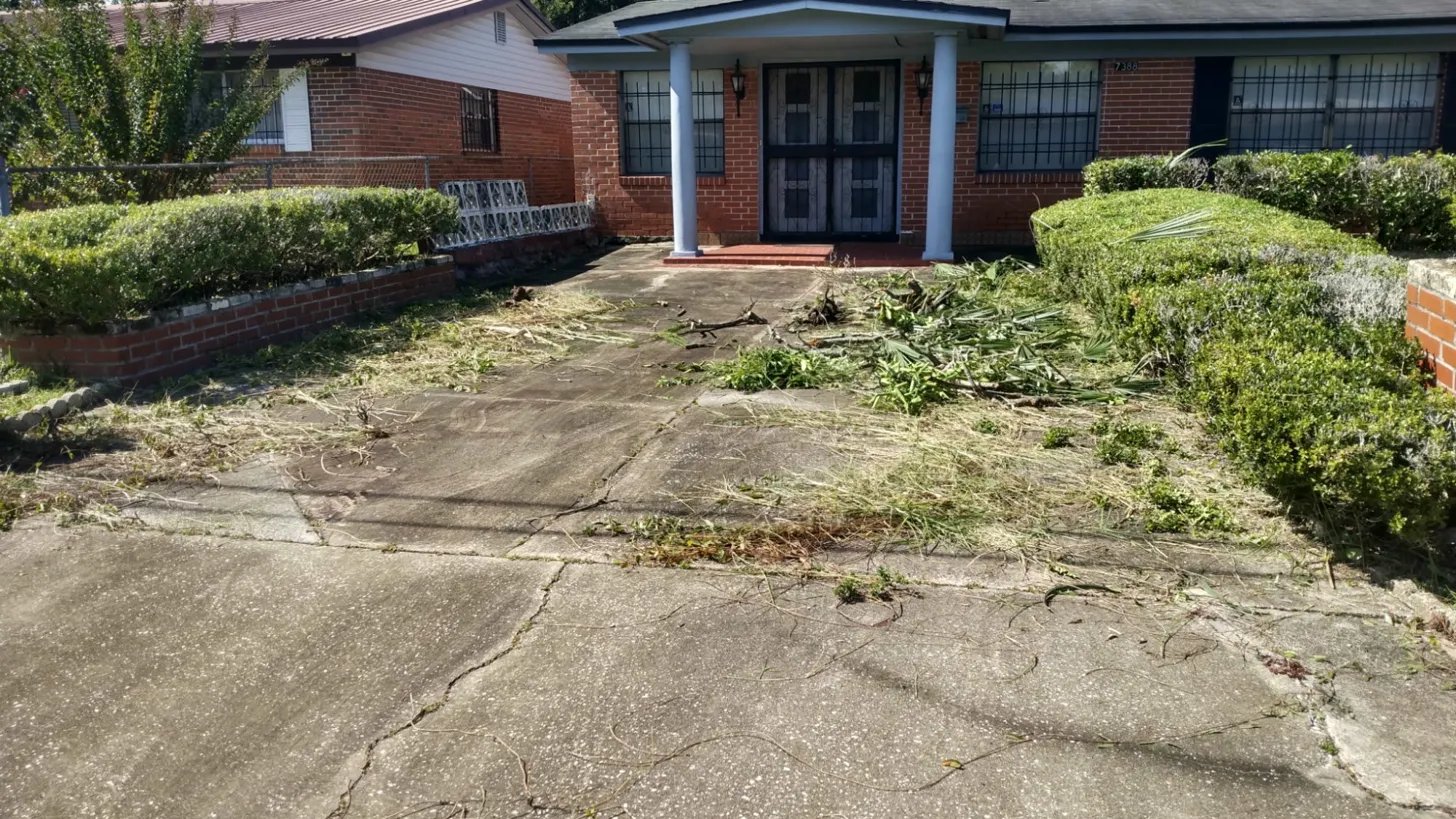Before — debris and overgrowth on driveway