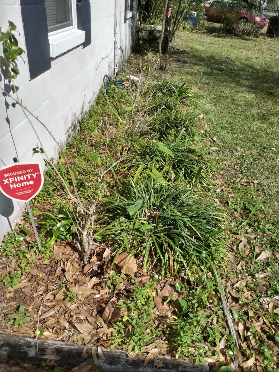 Before — overgrown garden bed